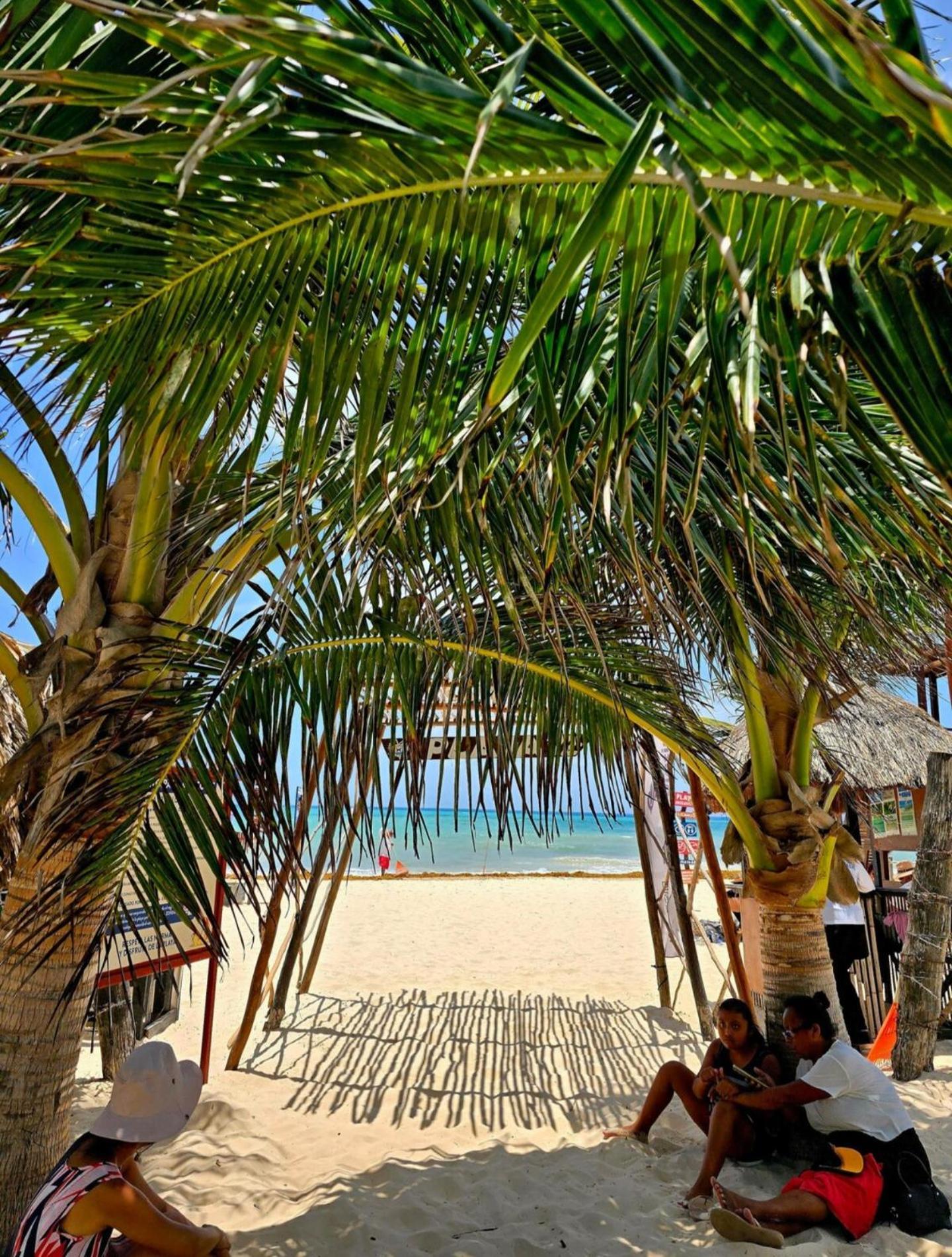 Sophia's House At Emiliano 42 Apartamento Playa del Carmen