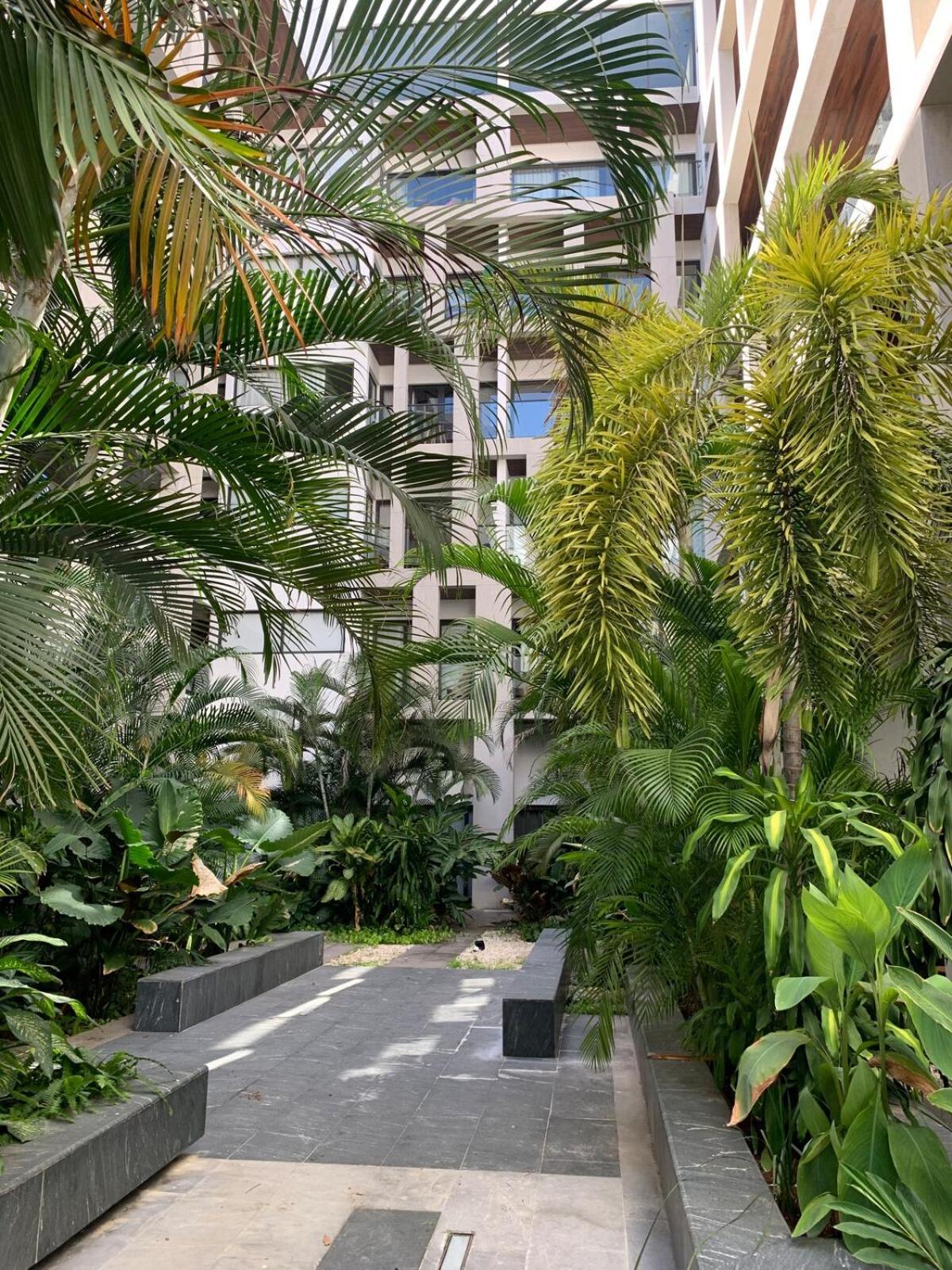 Ipana Playa Carmen 4 Pools And Gym *
