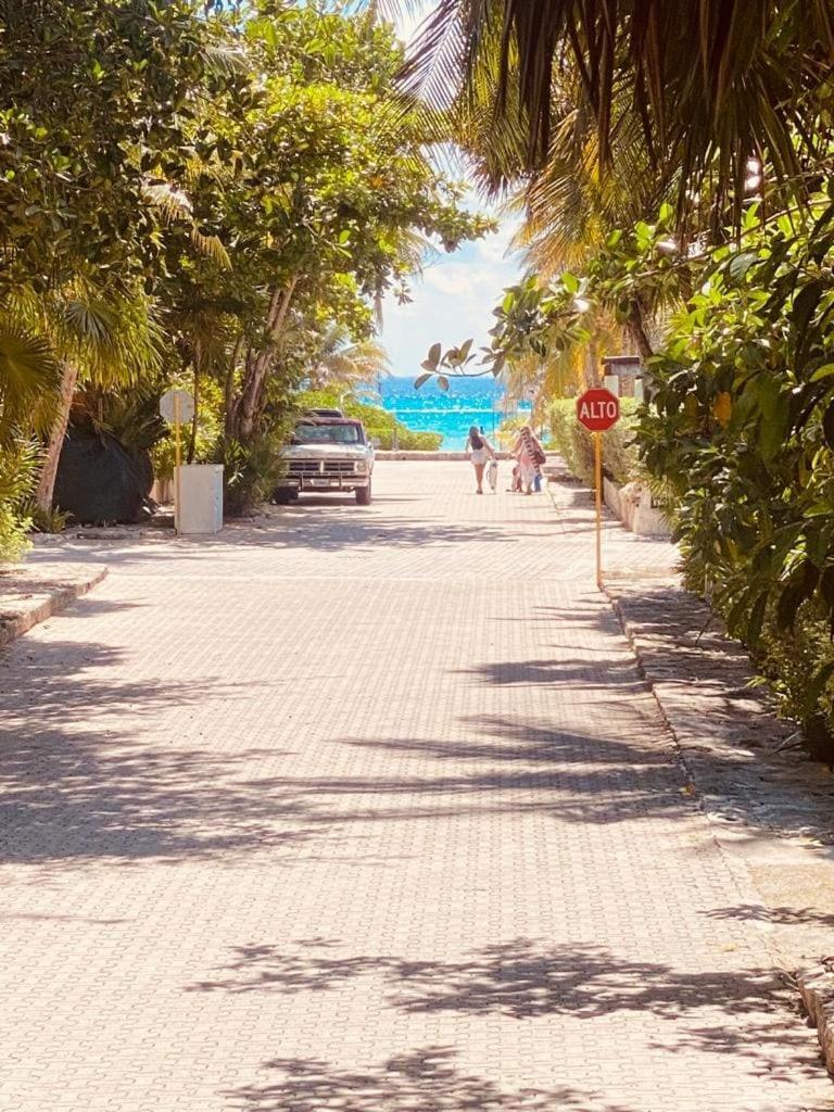 In Duplex One Block From Playacar
