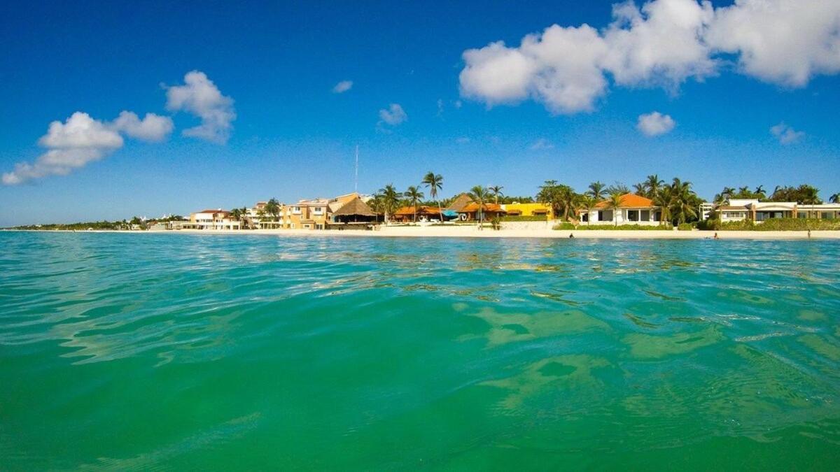 Apartment Magnificent One Block From Playacar