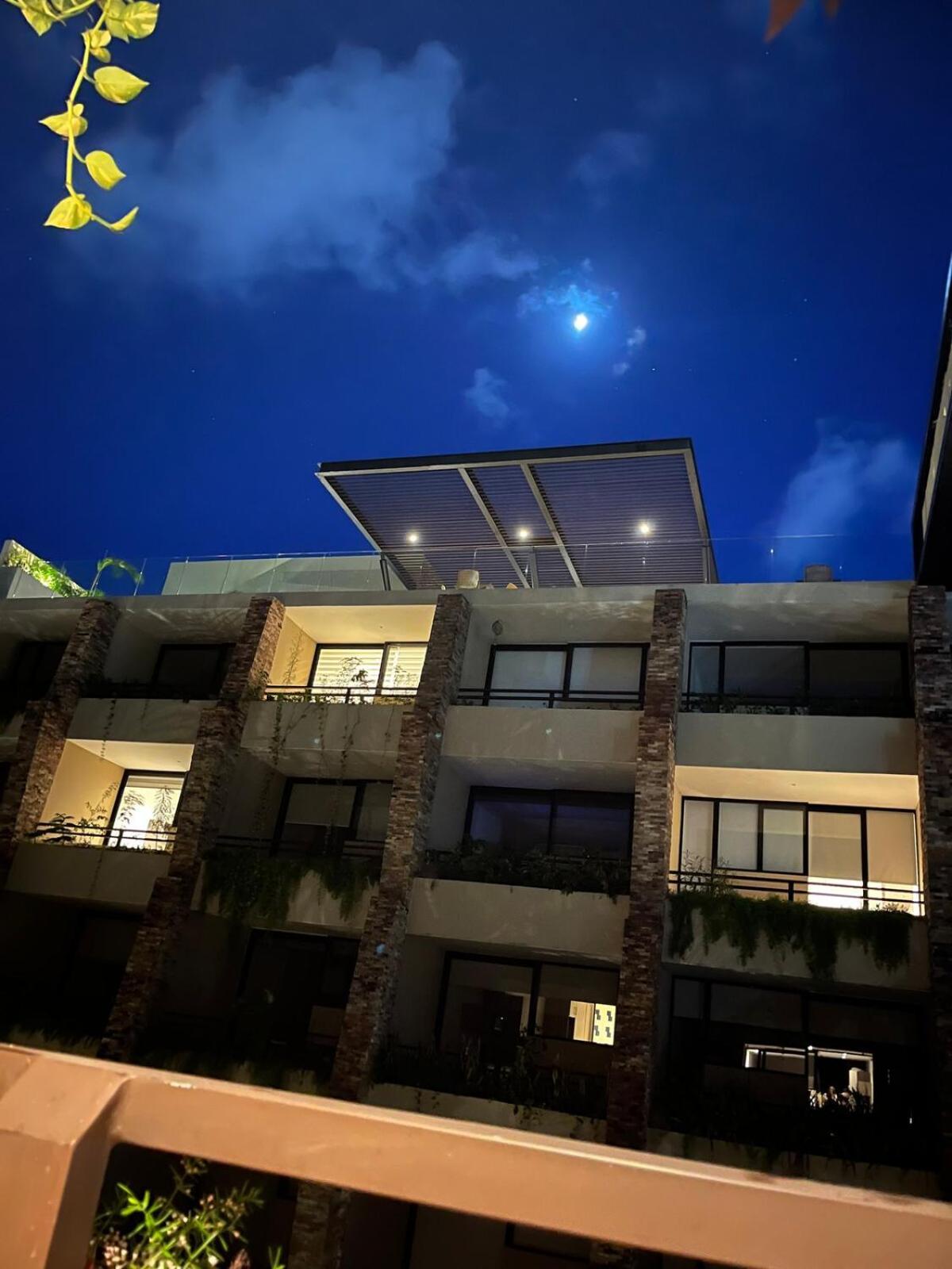 Luxurious Studio, *