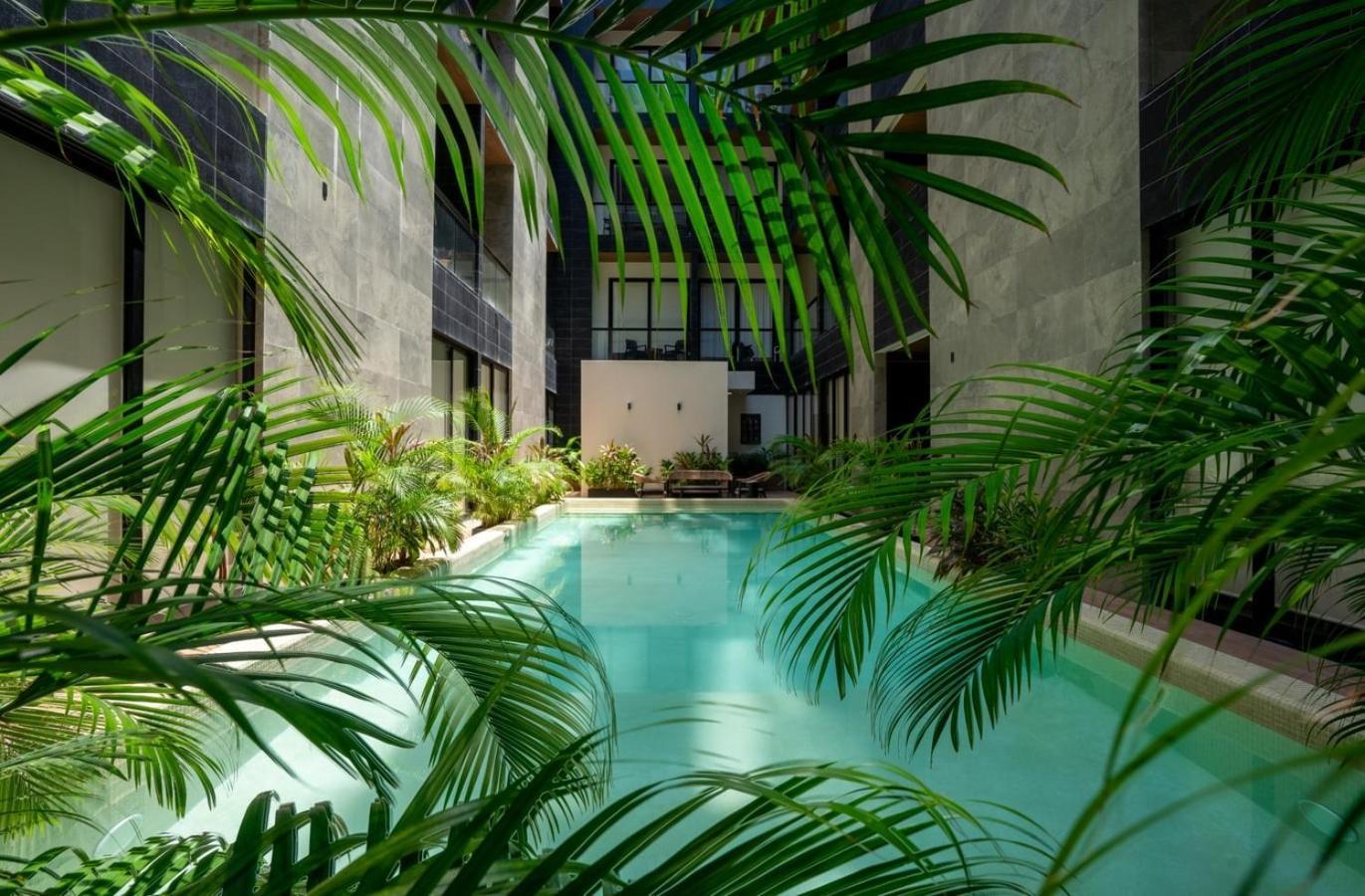 Apartment 2br W/ Rooftop Oceanview & Centric Location