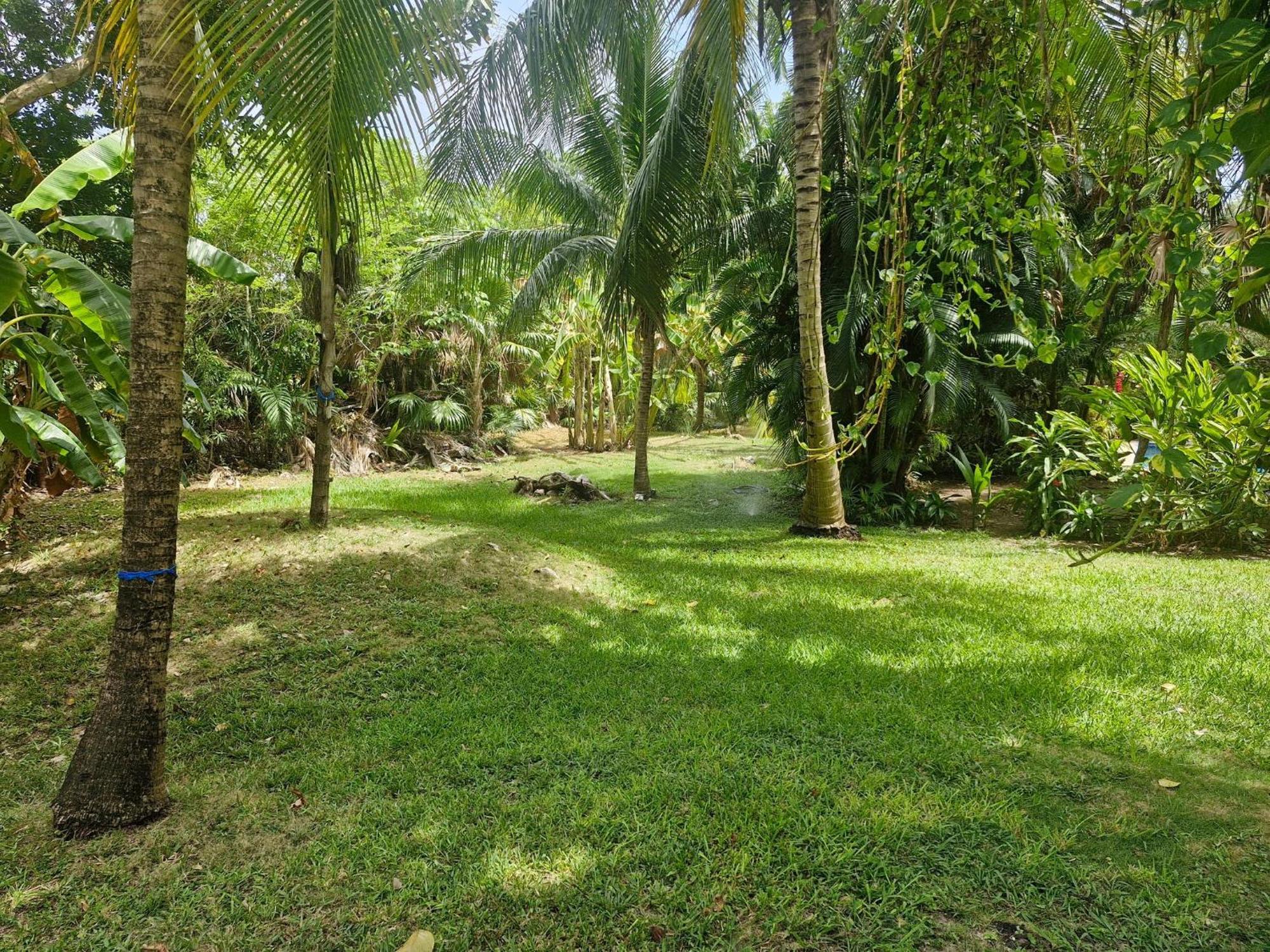 Apartment Luxurious In Playacar With Golf
