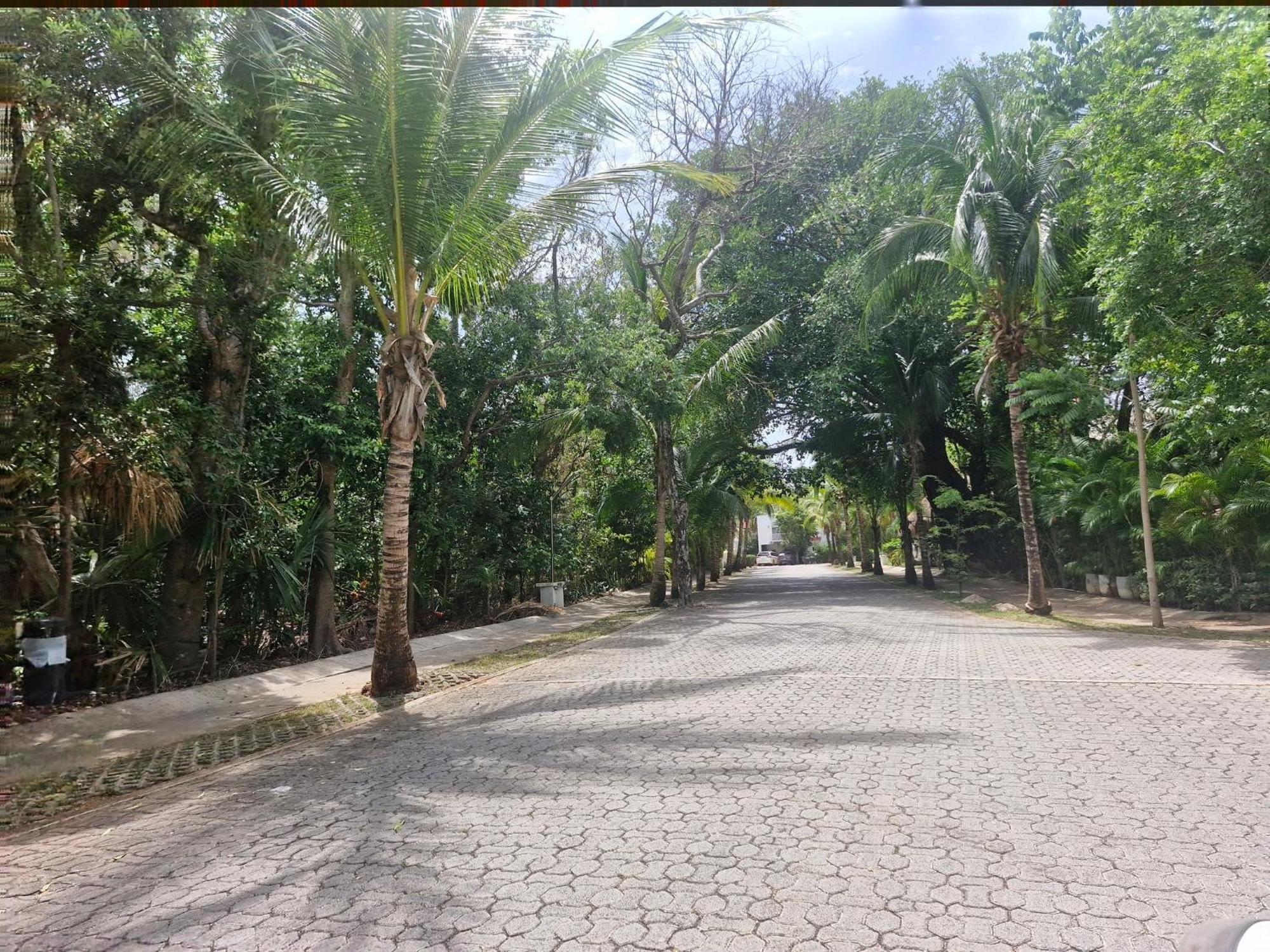 Luxurious In Playacar With Golf * Playa del Carmen
