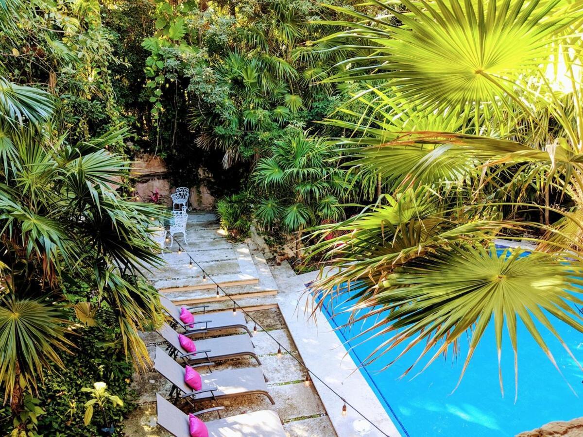 Steps To Sleep 29 Largest Pool In Playa Playa del Carmen