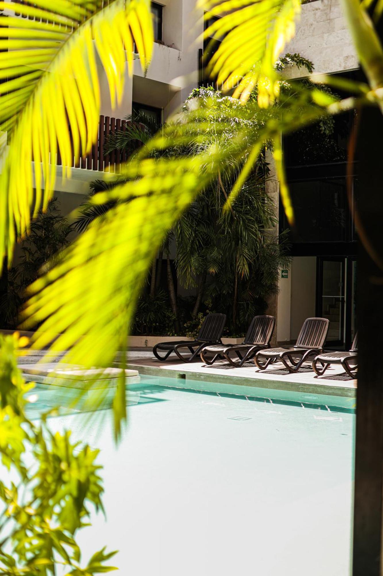 Palmares, Luxury With Private Roof Apartment