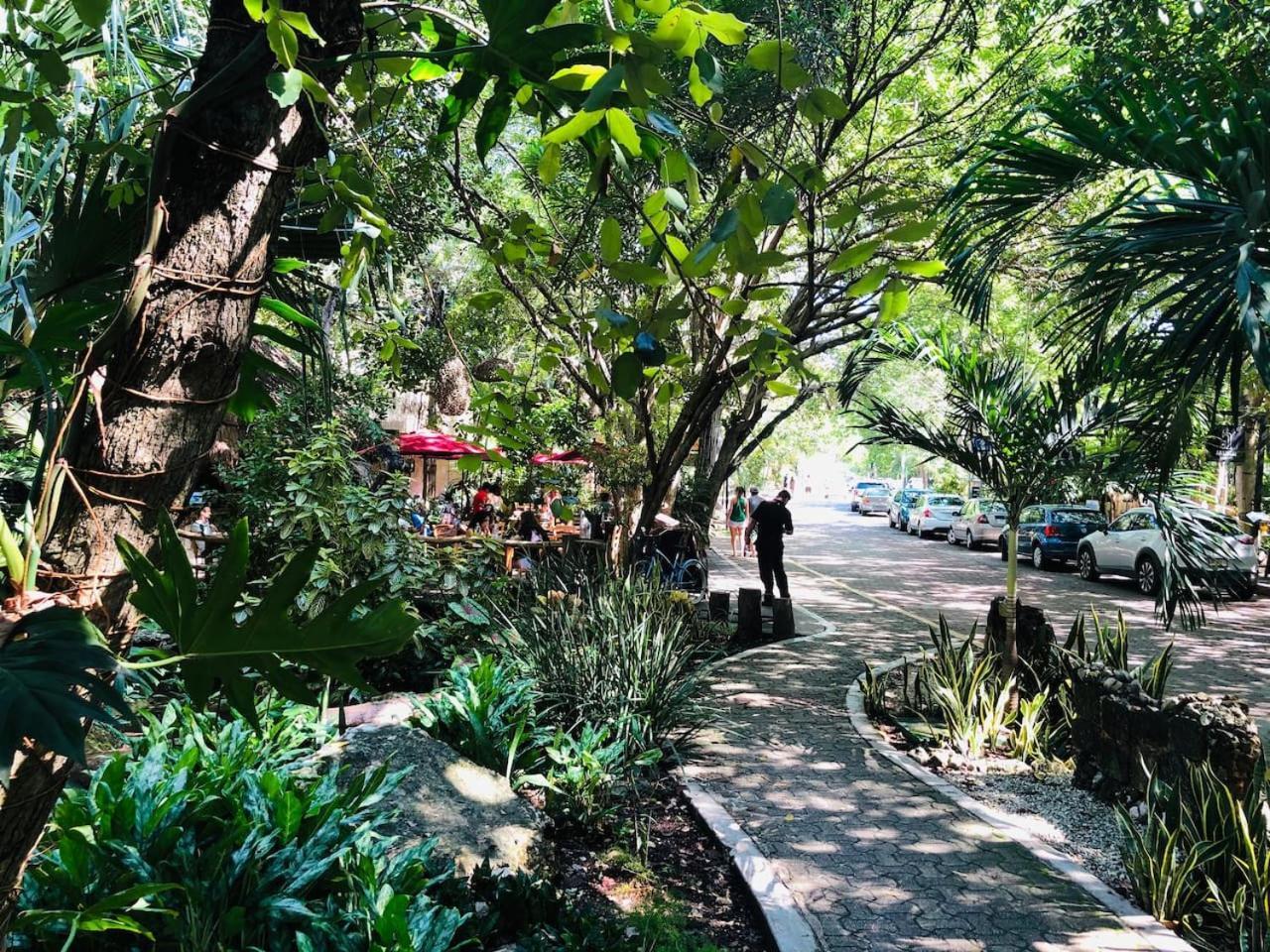 Stylish Steps From 5th Ave And Playa del Carmen