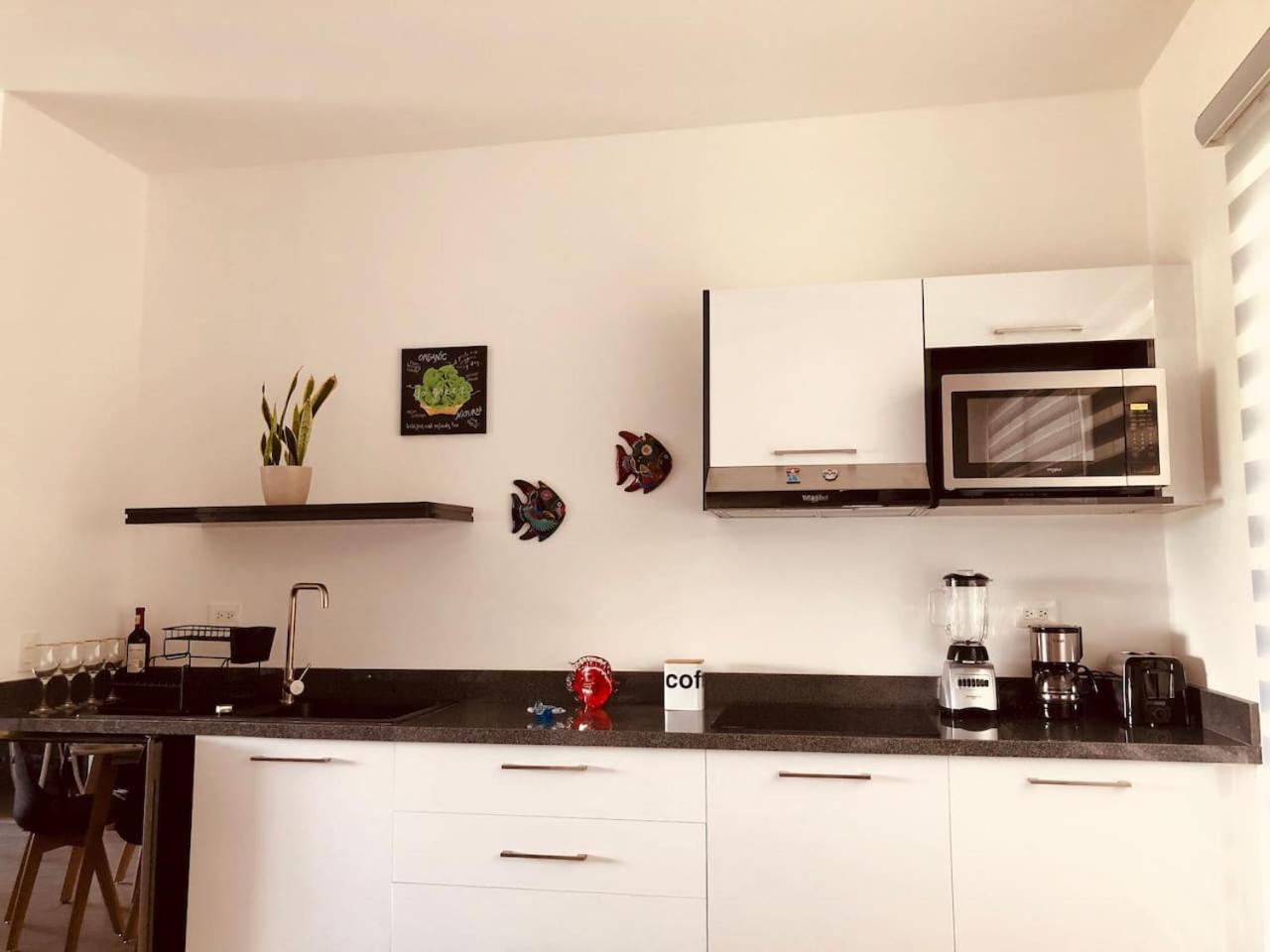 Apartment Stylish Steps From 5th Ave And Playa del Carmen