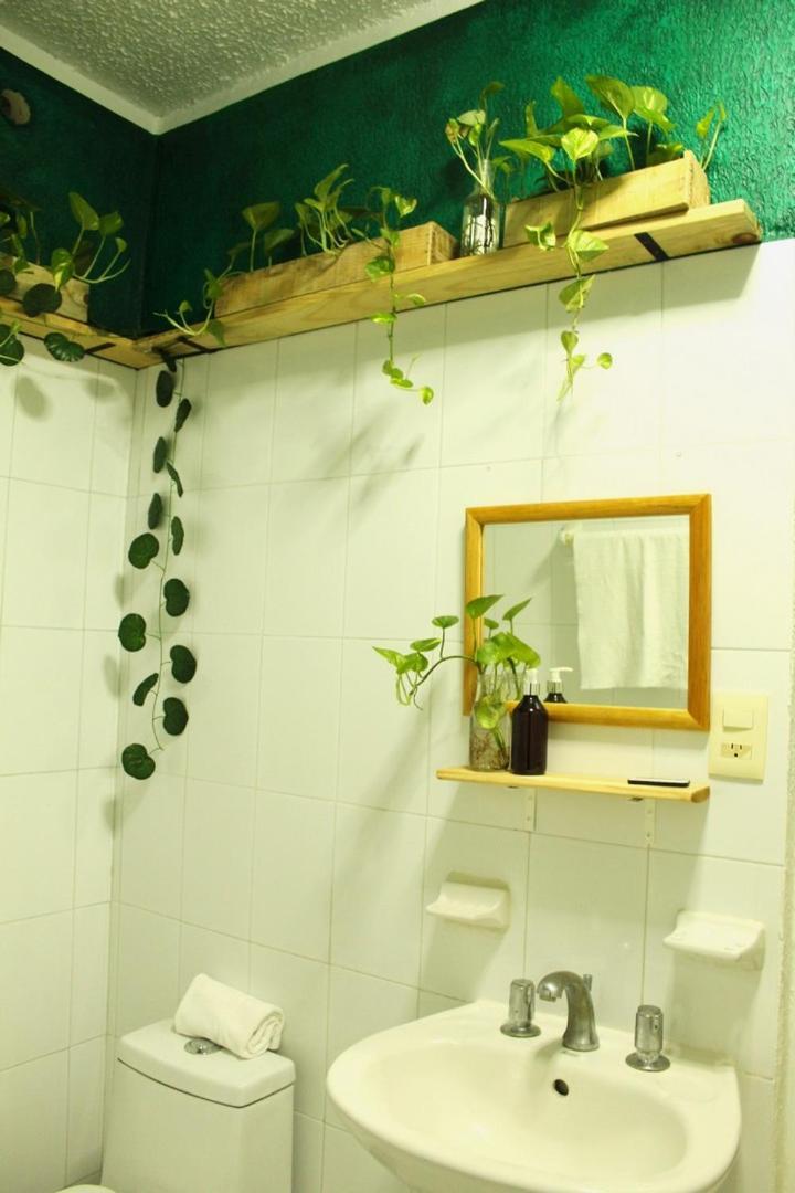 Casa Palmita Guest house *