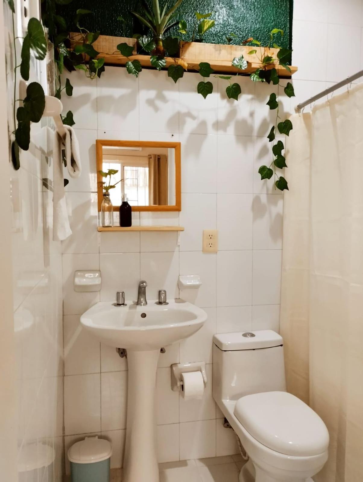 Guest house Casa Palmita