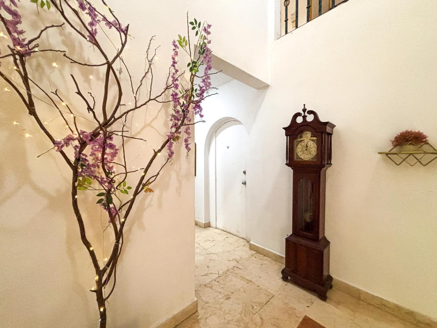 Apartamento Close To Beach, Quinta,ferry To Cozumel And Xcaret
