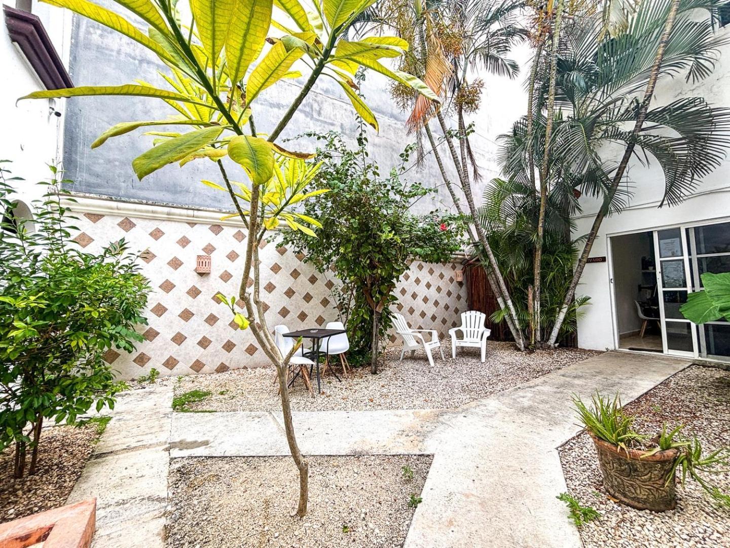 Apartamento Close To Beach, Quinta,ferry To Cozumel And Xcaret