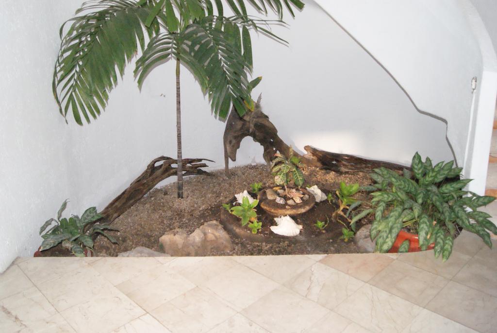 Casa Del Sol