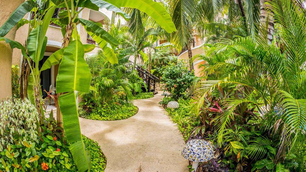 Bric & 3* Playa del Carmen