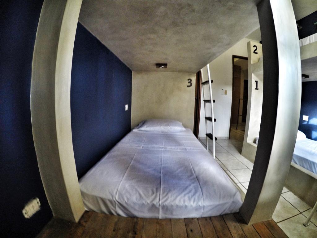 Lobo De Mar Hostel Playa del Carmen