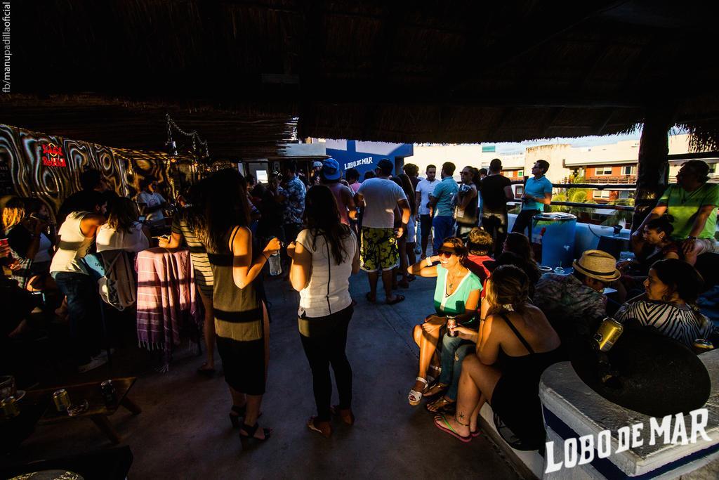 Hostel Lobo De Mar *