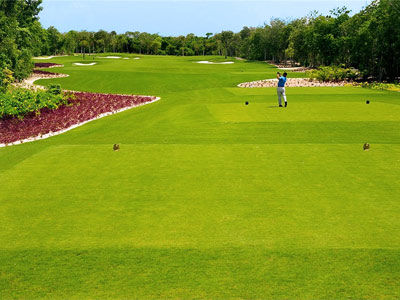 Hotel Pure Riviera Maya