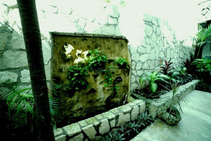 Siesta Fiesta - 5th Avenue 2* Playa del Carmen