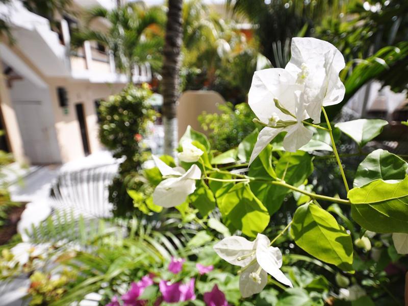 Energy 5th Av Hotel Playa del Carmen