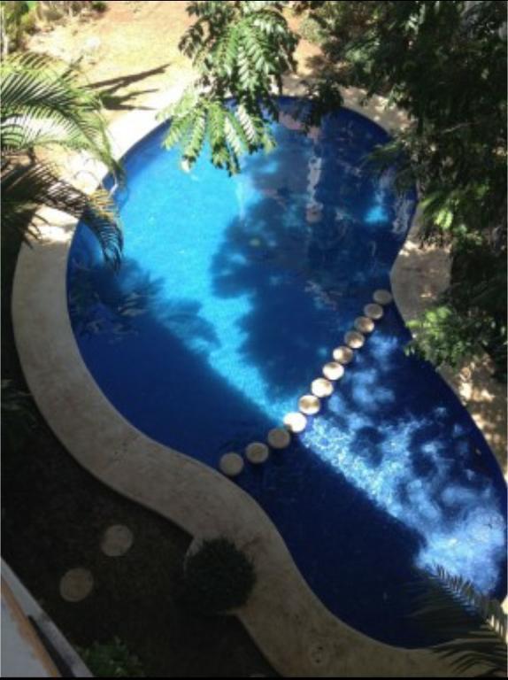 Apartment La Concha Luxury *