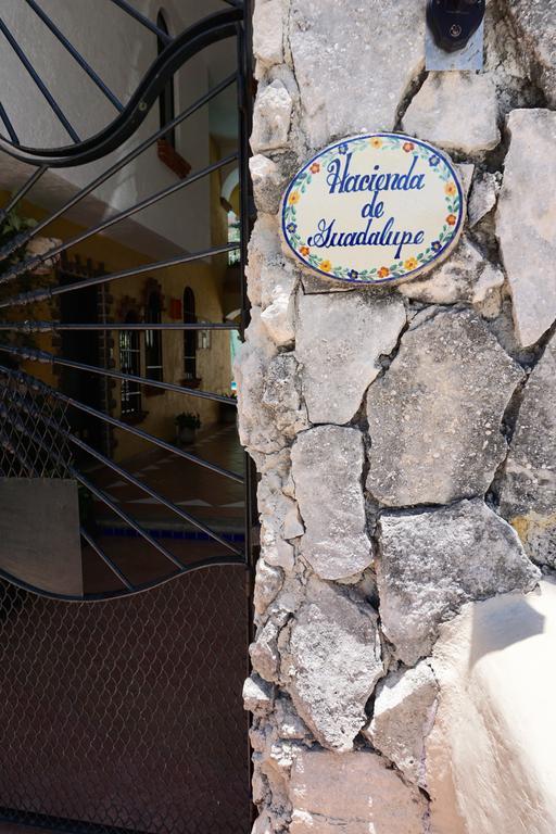 Studio Hacienda Guadalupe Apartment *