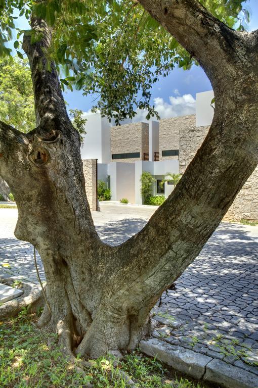 3 Rincon De Mar Holiday home Playa del Carmen