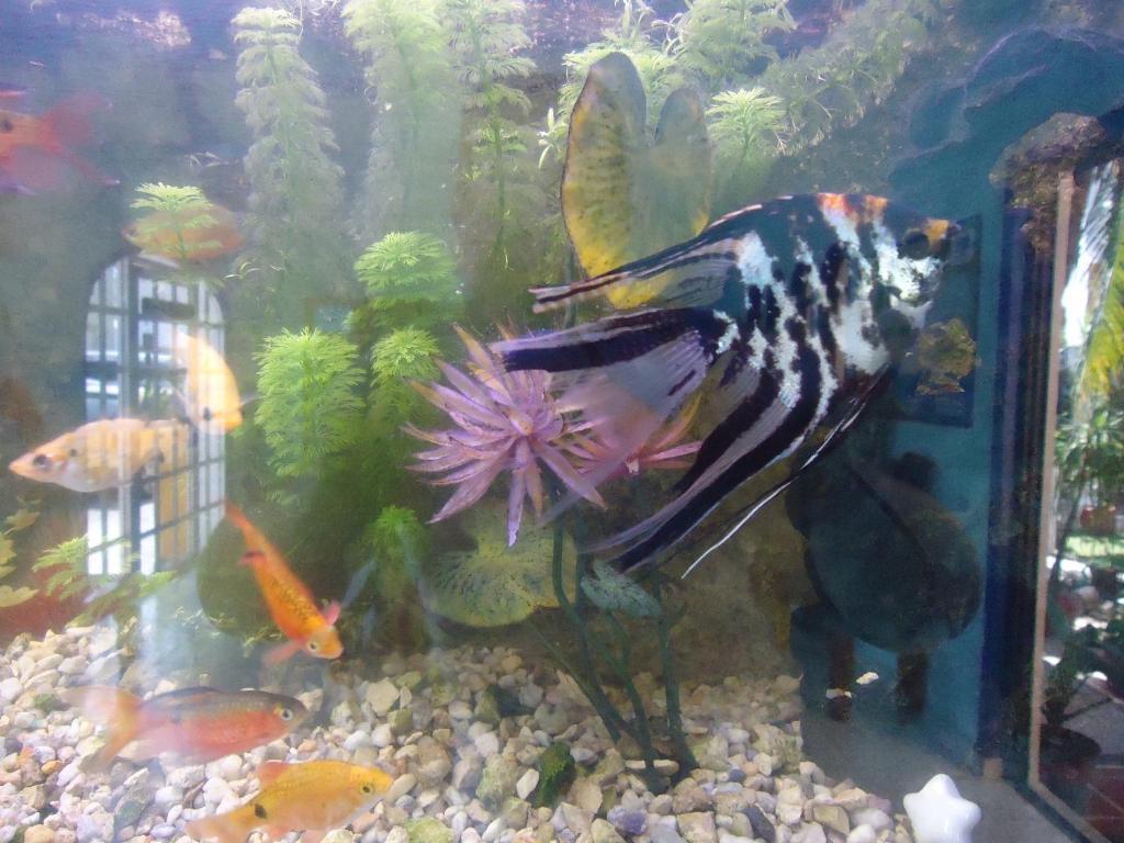 El Acuario Khách sạn 3*