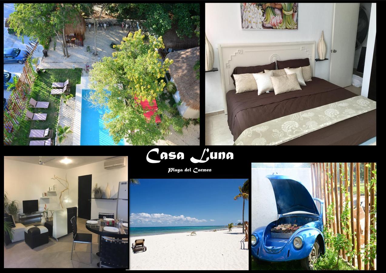Apartment Casa Luna