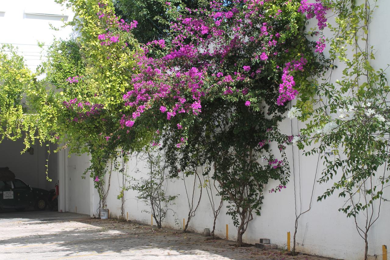 Apartment Casa Luna Playa del Carmen