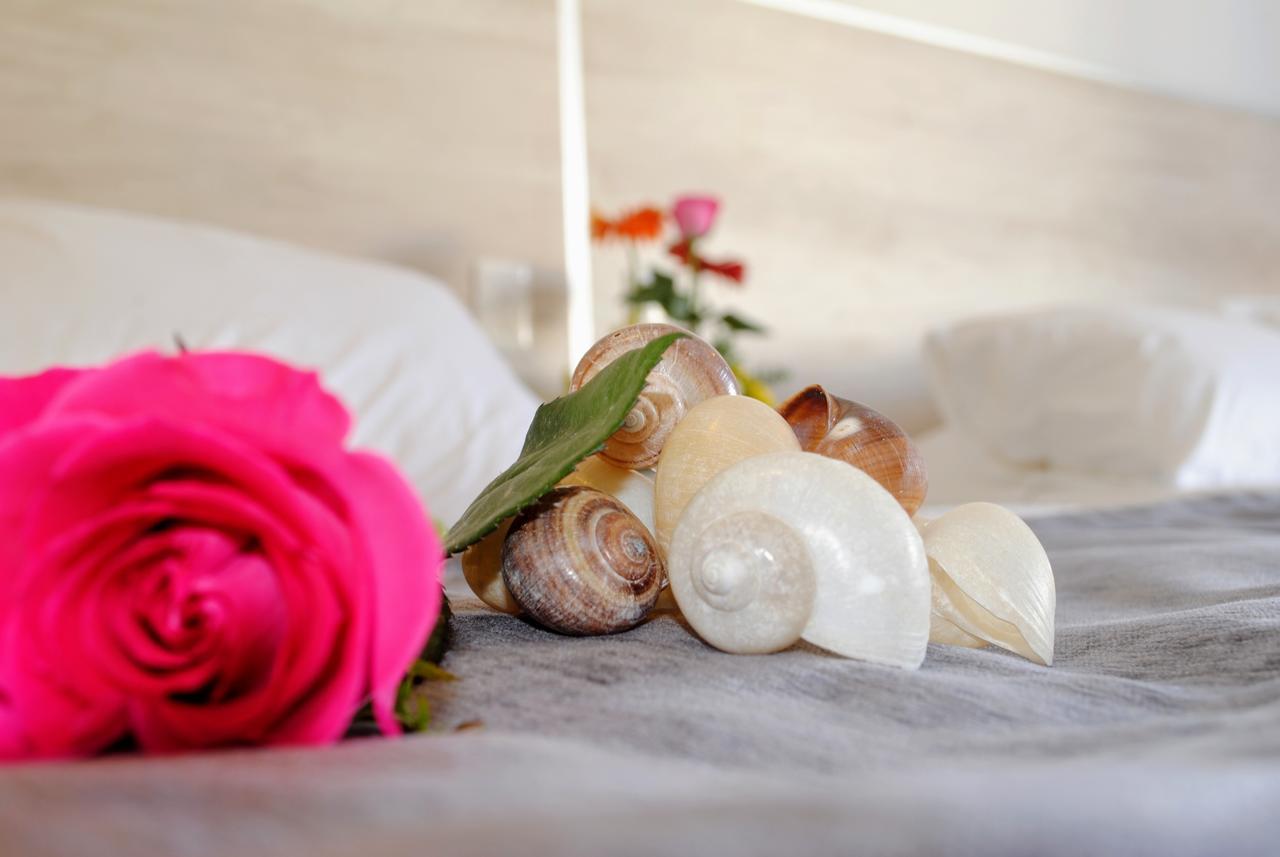 5th Coral Suites By Holiday In Playa Apartment