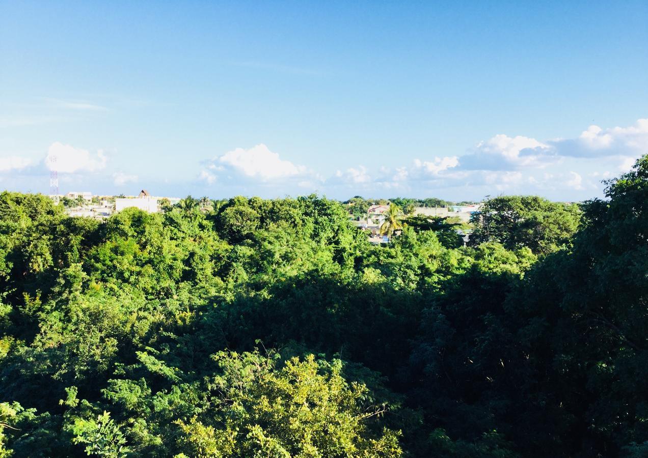 Casa Luna Apartment Playa del Carmen