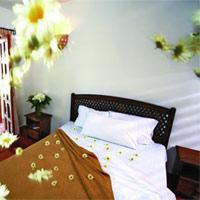 El Patio Khách sạn Playa del Carmen