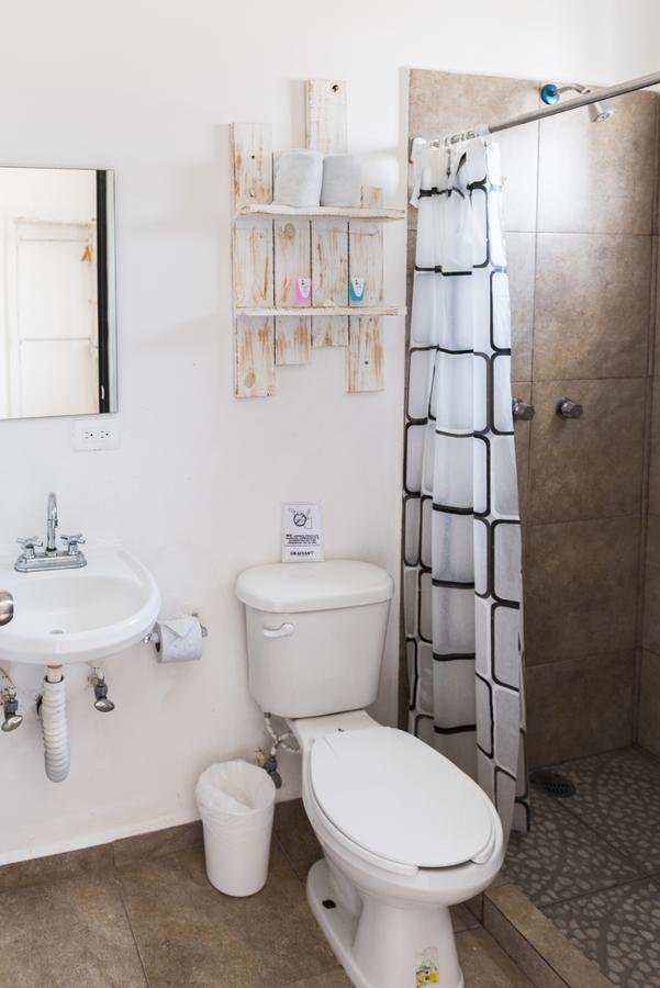 Hotel Coconut Boutique 3*