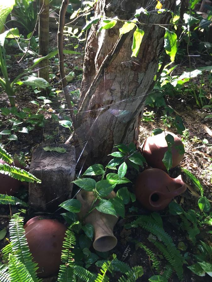 Casa Corazon Xcaret *