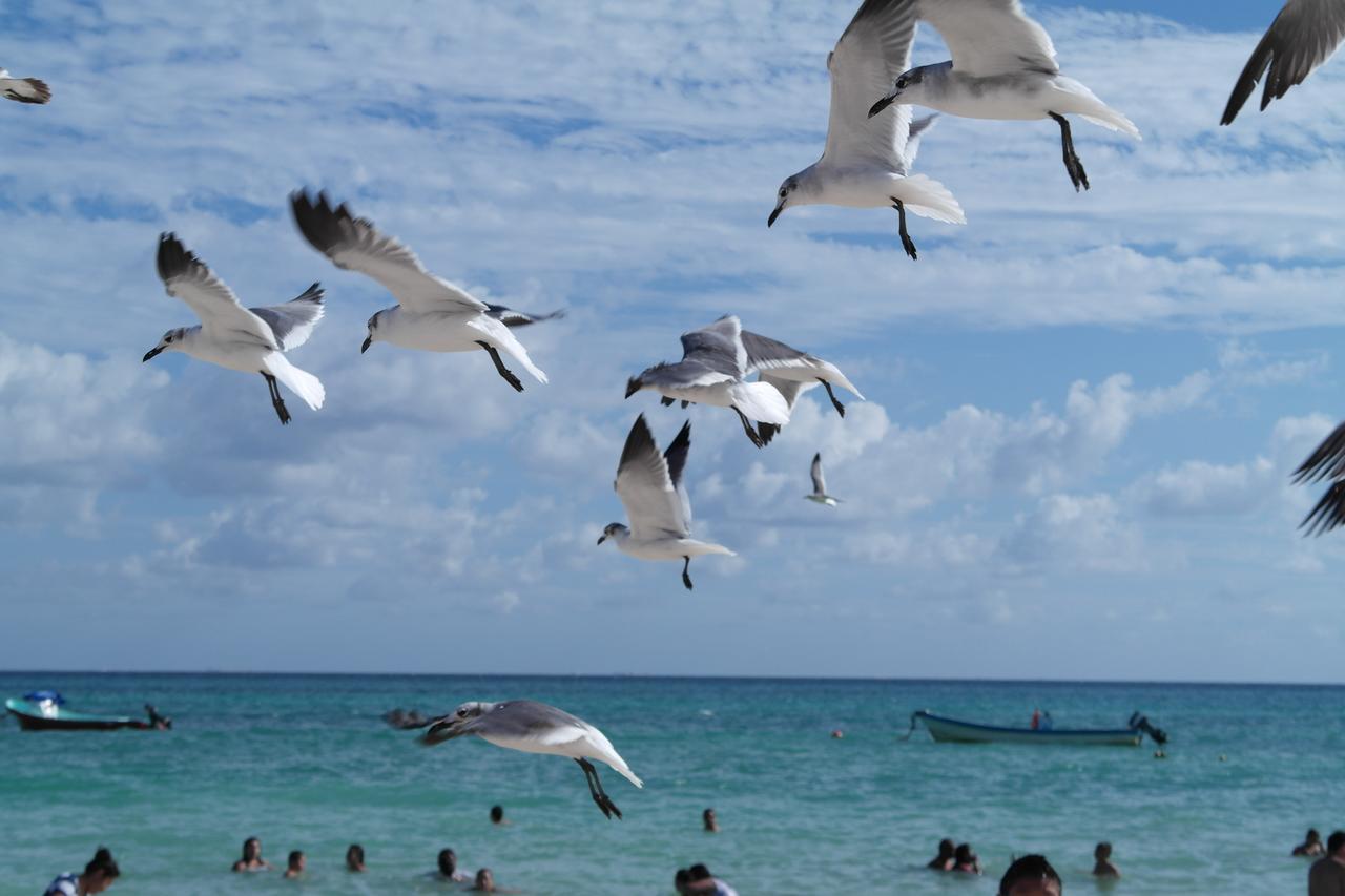 Hotel Casa Tucan Playa del Carmen