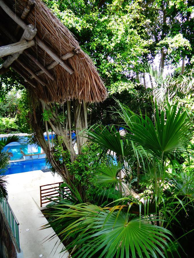 Casa Tucan 2*