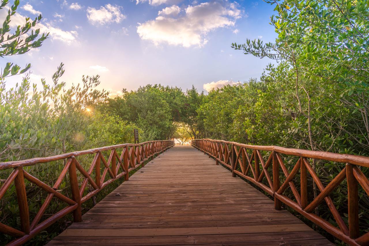 Platinum Yucatan Princess Adults Only Resort 5*