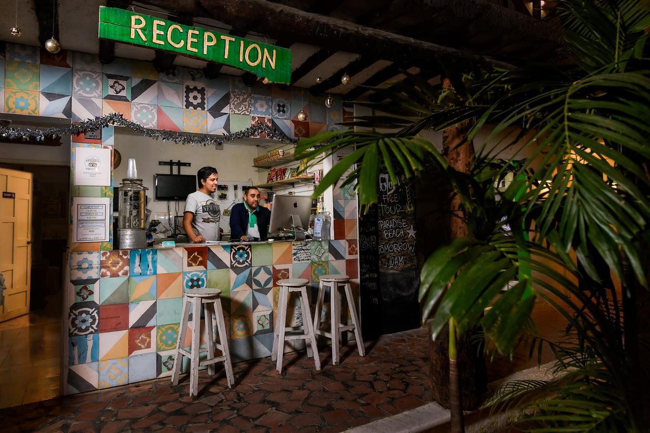 Hostal Mx 5th Avenue