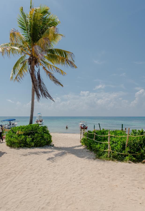 Apartment Rioja Playacar By Chezplaya