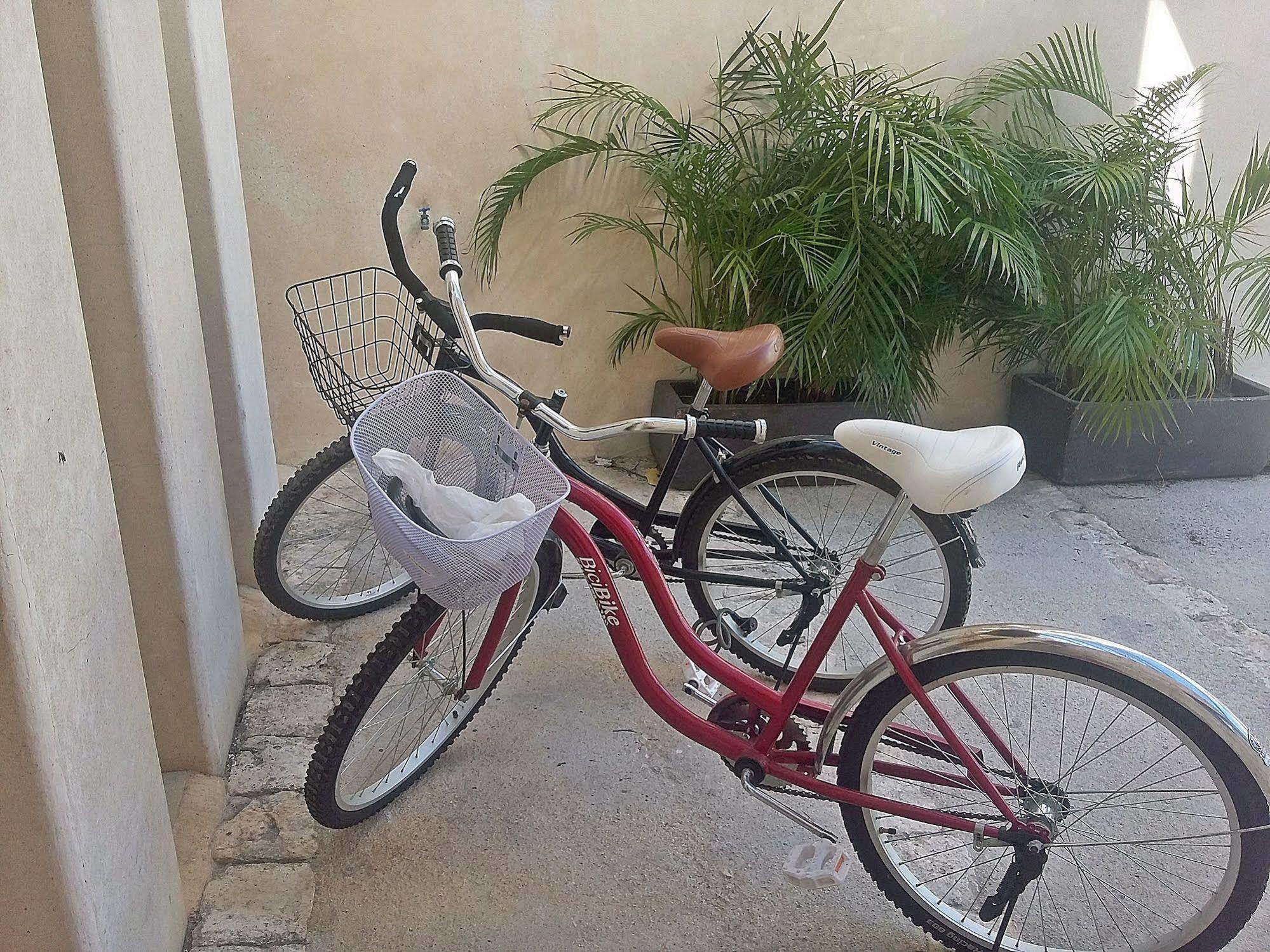 Khách sạn Maya Vacanze Playa Natural