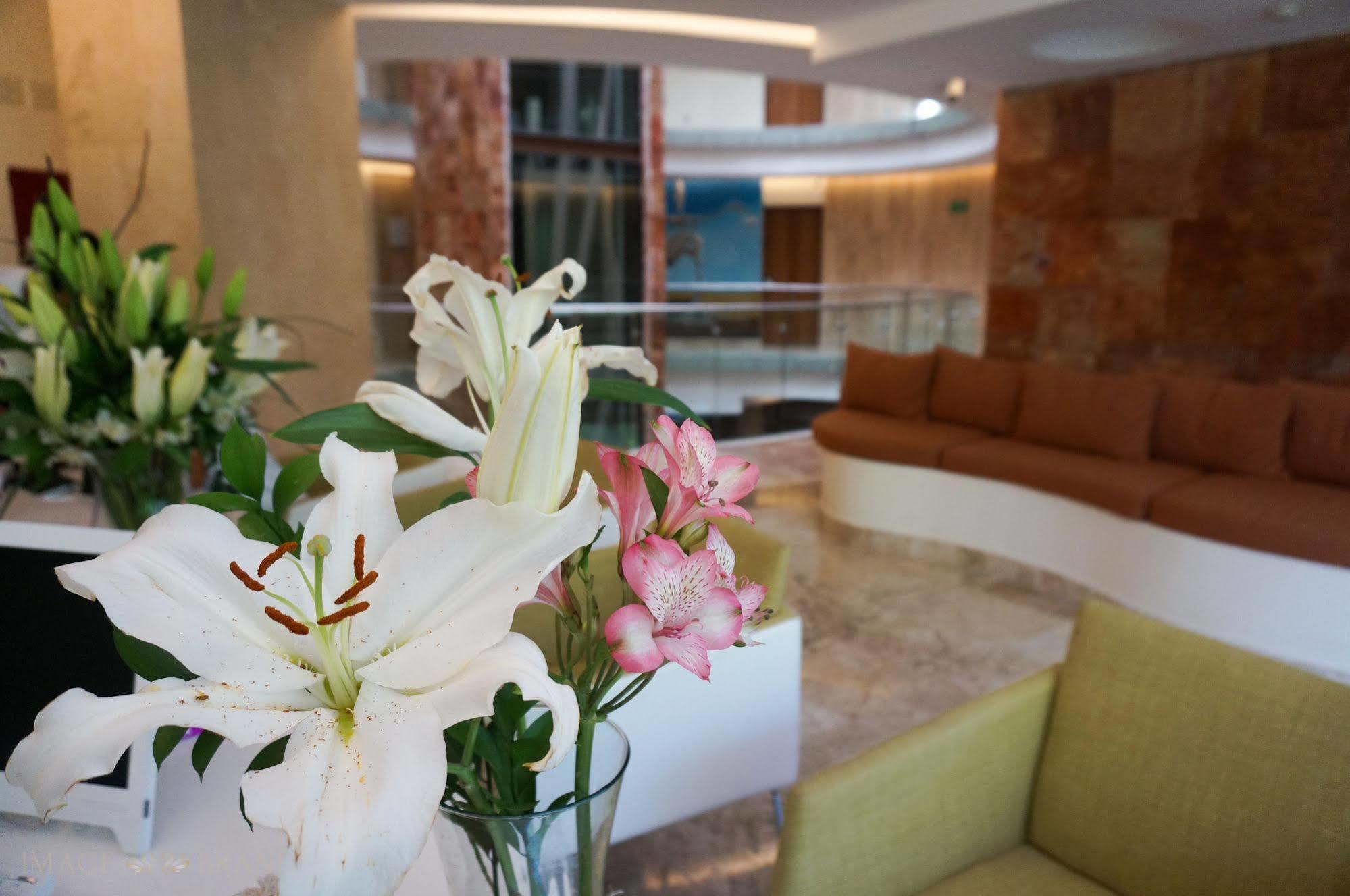 Senses Quinta Avenida By Artisan (adults Only) 4* Playa del Carmen