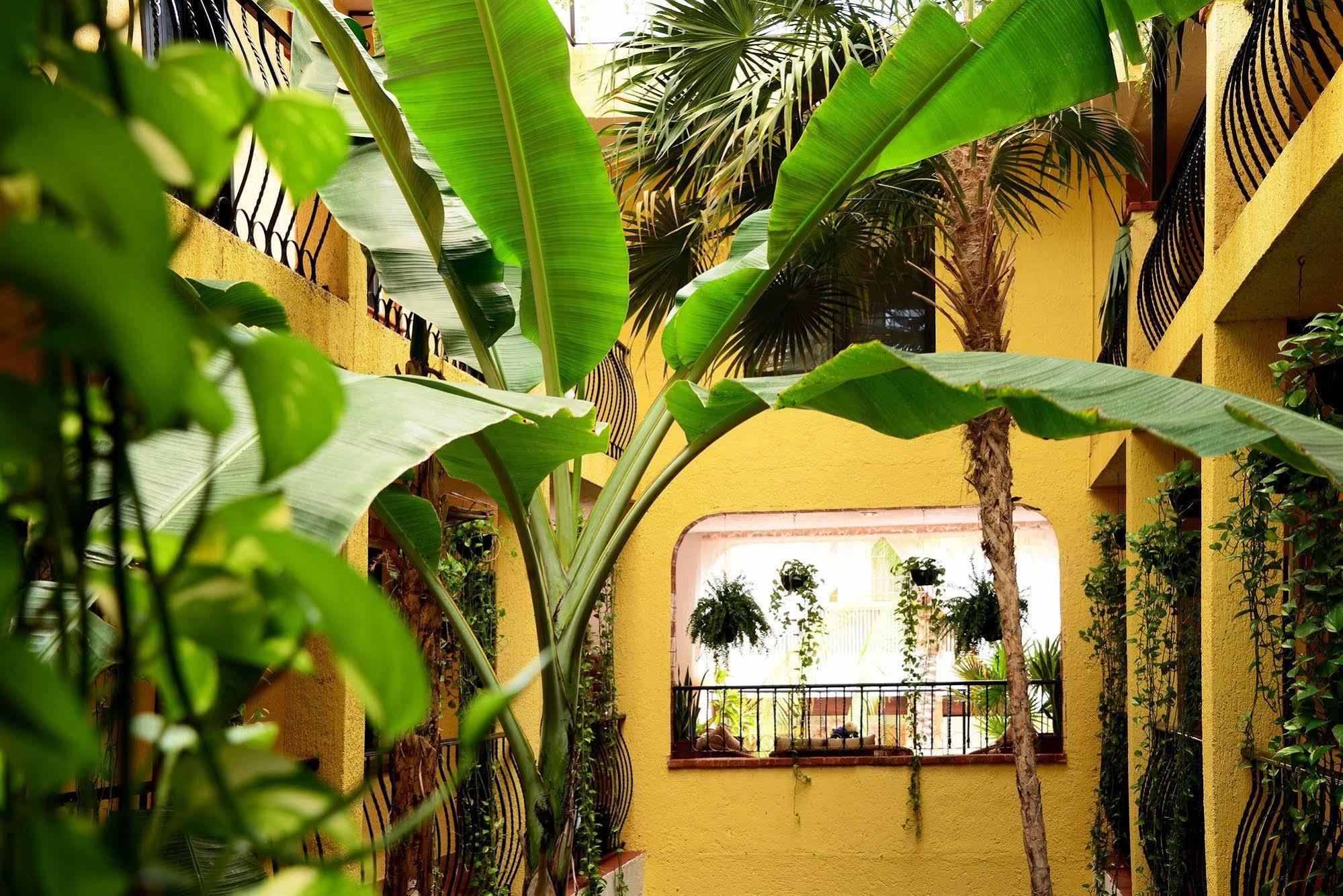 Hacienda Mariposa Playa del Carmen