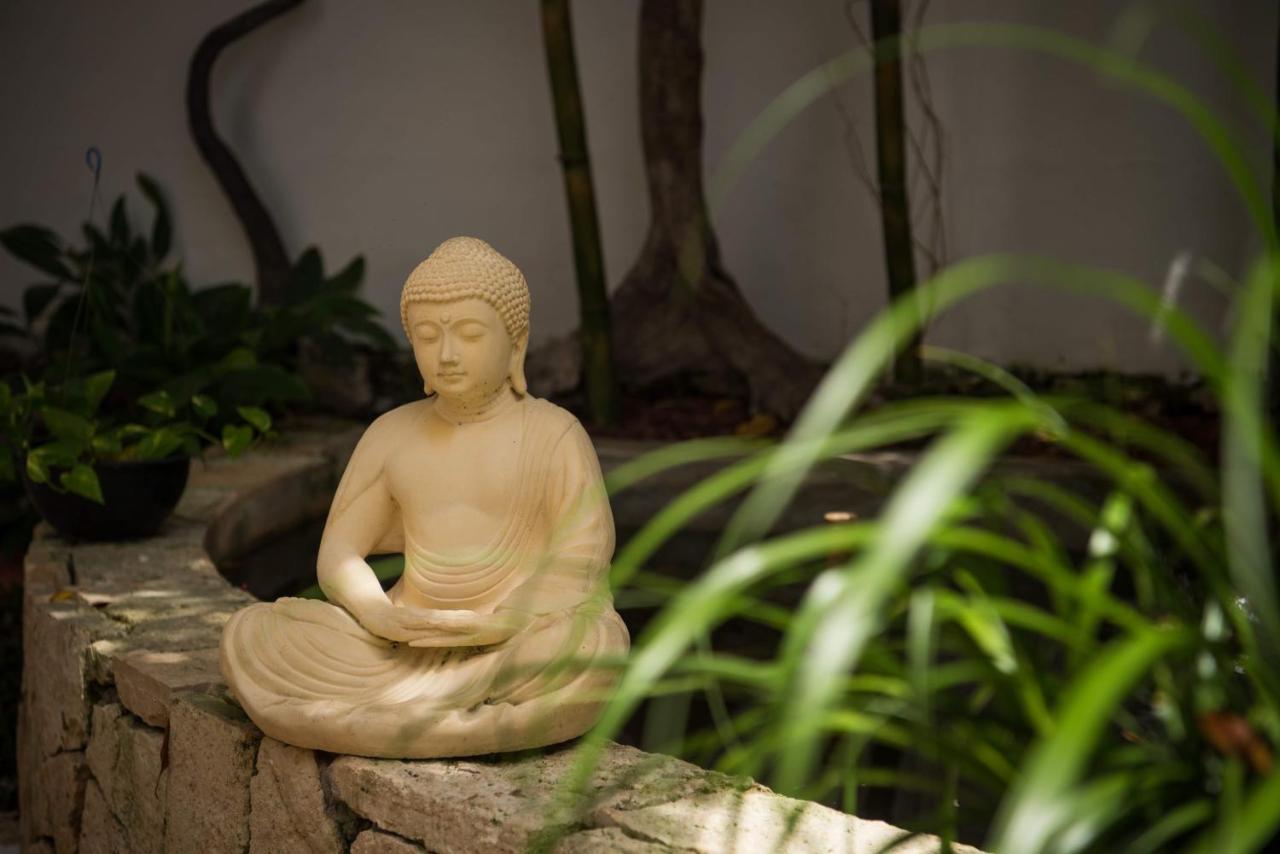 Ocean Zen On 5th Avenue - Adults Only Khách sạn hẻo lánh 4*