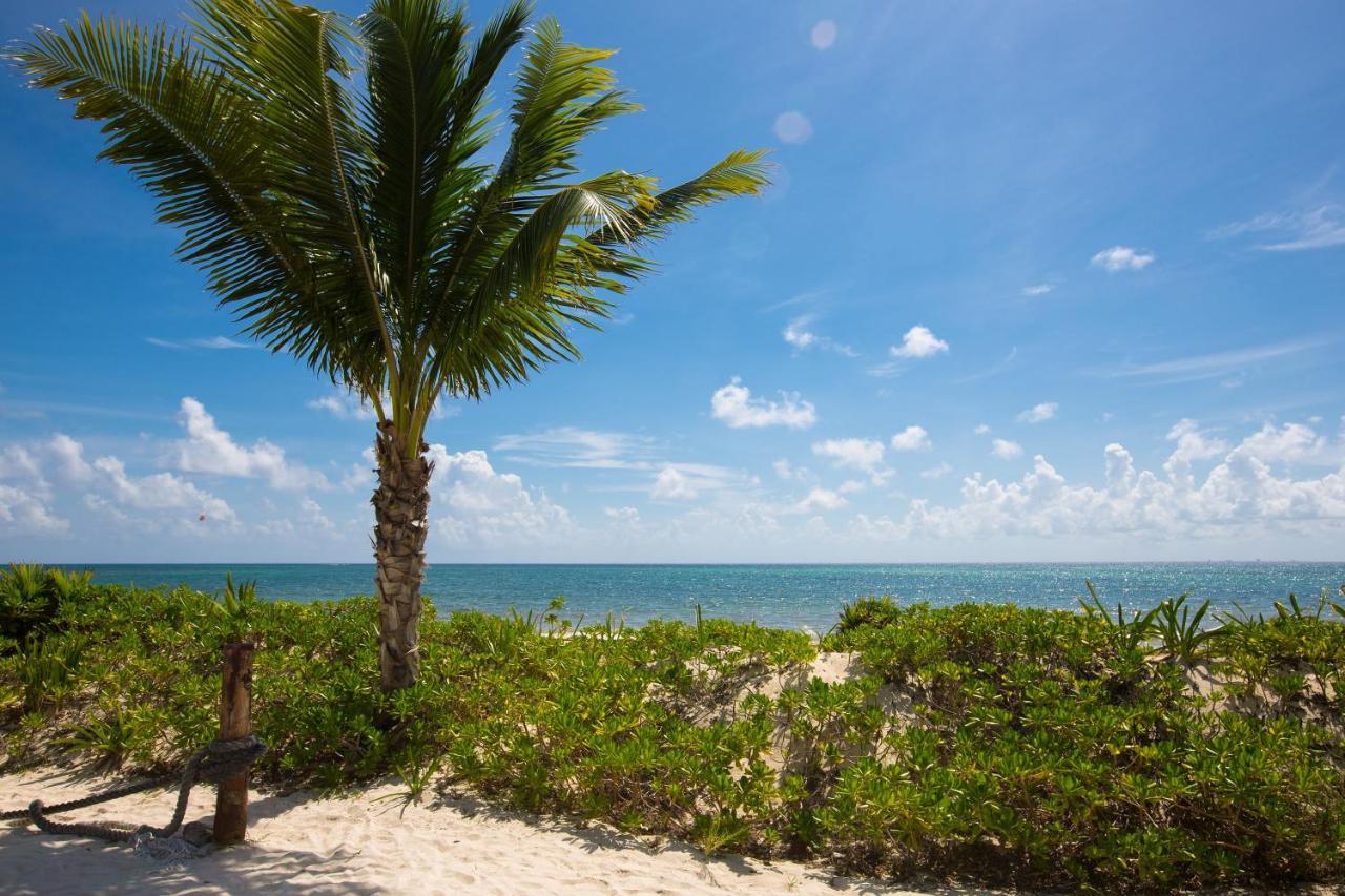 Boutique Oceanfront Aparthotel *
