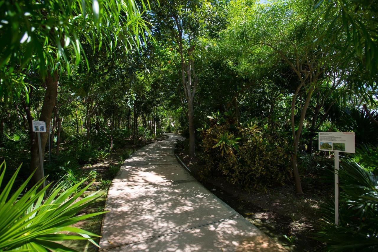 Boutique Oceanfront Aparthotel Playa del Carmen