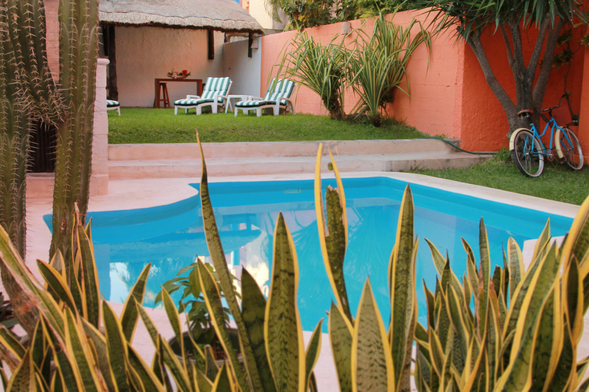 Apartahotel Vida Playa