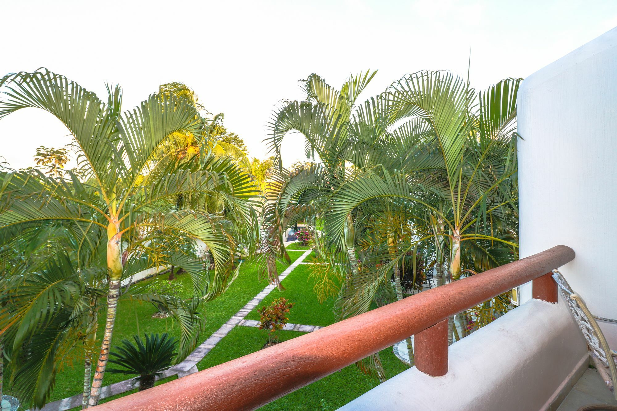 Mayamar A10