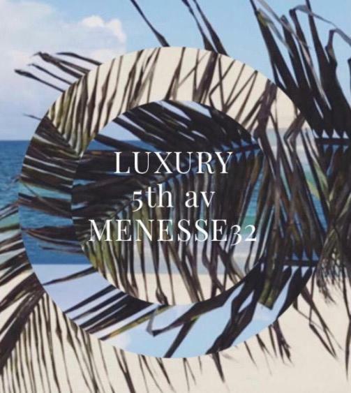 Luxury 5th Avenue Menesse 32 Apartamento
