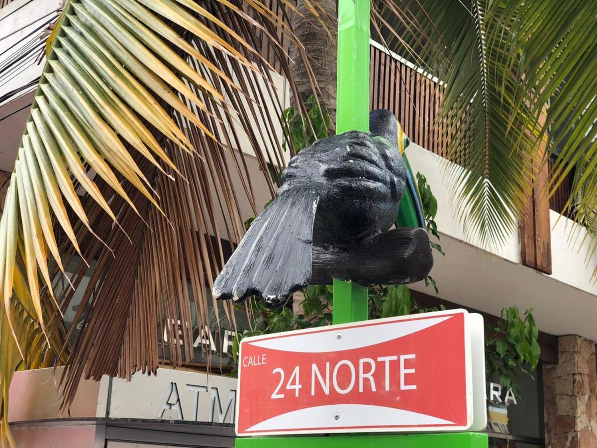 Apartment Nolita By Playa Moments Playa del Carmen