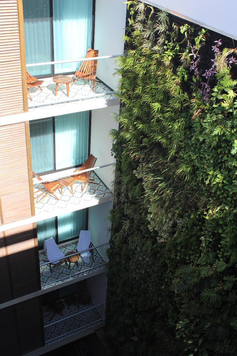 Soul Boutique & (adults Only) 5*